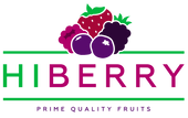 Hiberry